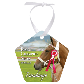 2.75"x 2.75 Gloss White Aluminum Pentagon Ornament, 1-Side w/White Ribbon